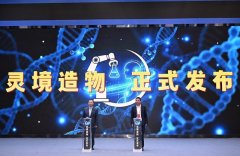 为企业需求供给间接处理方案；日均万余次尝试